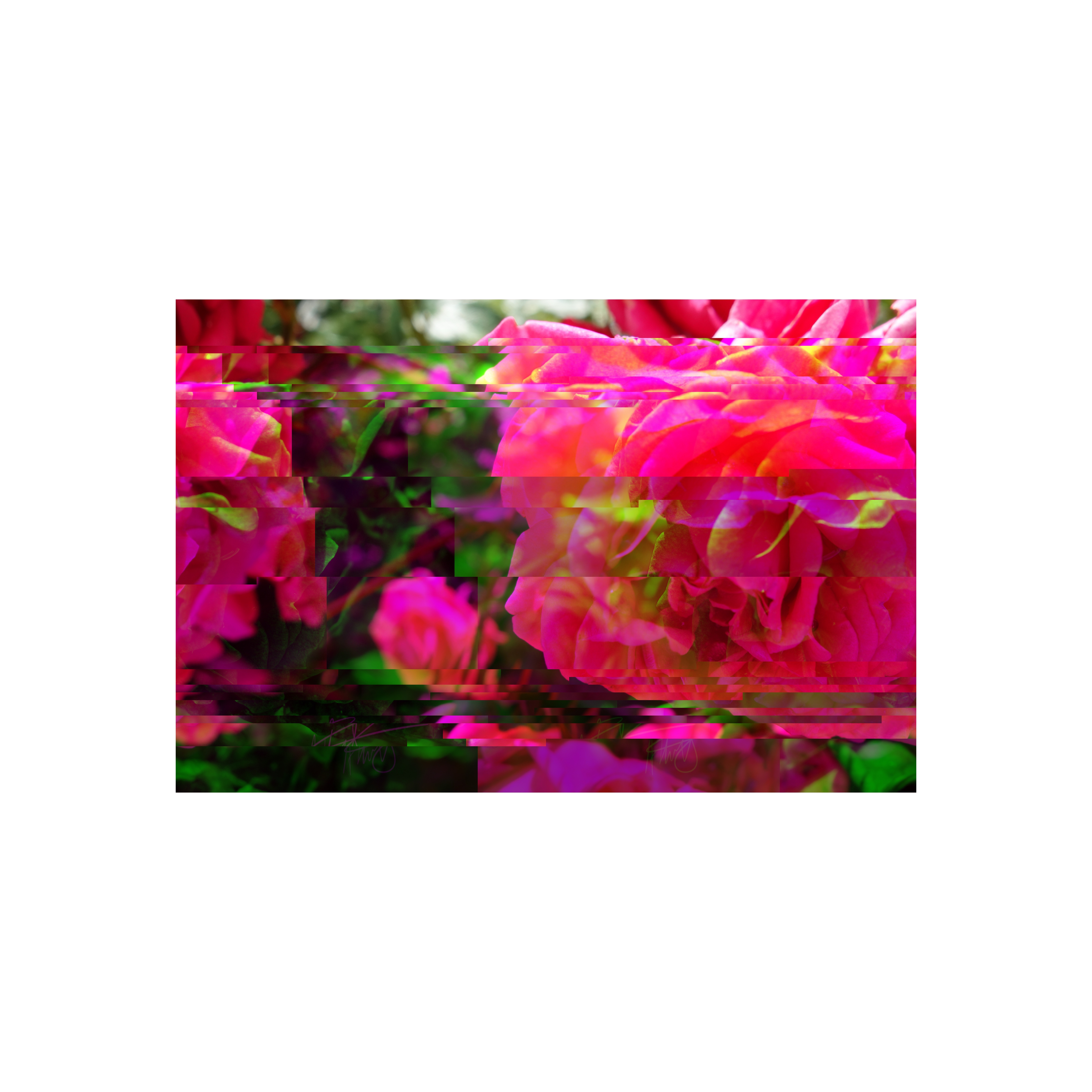 GlitchyInstaBoy Visual Art #017