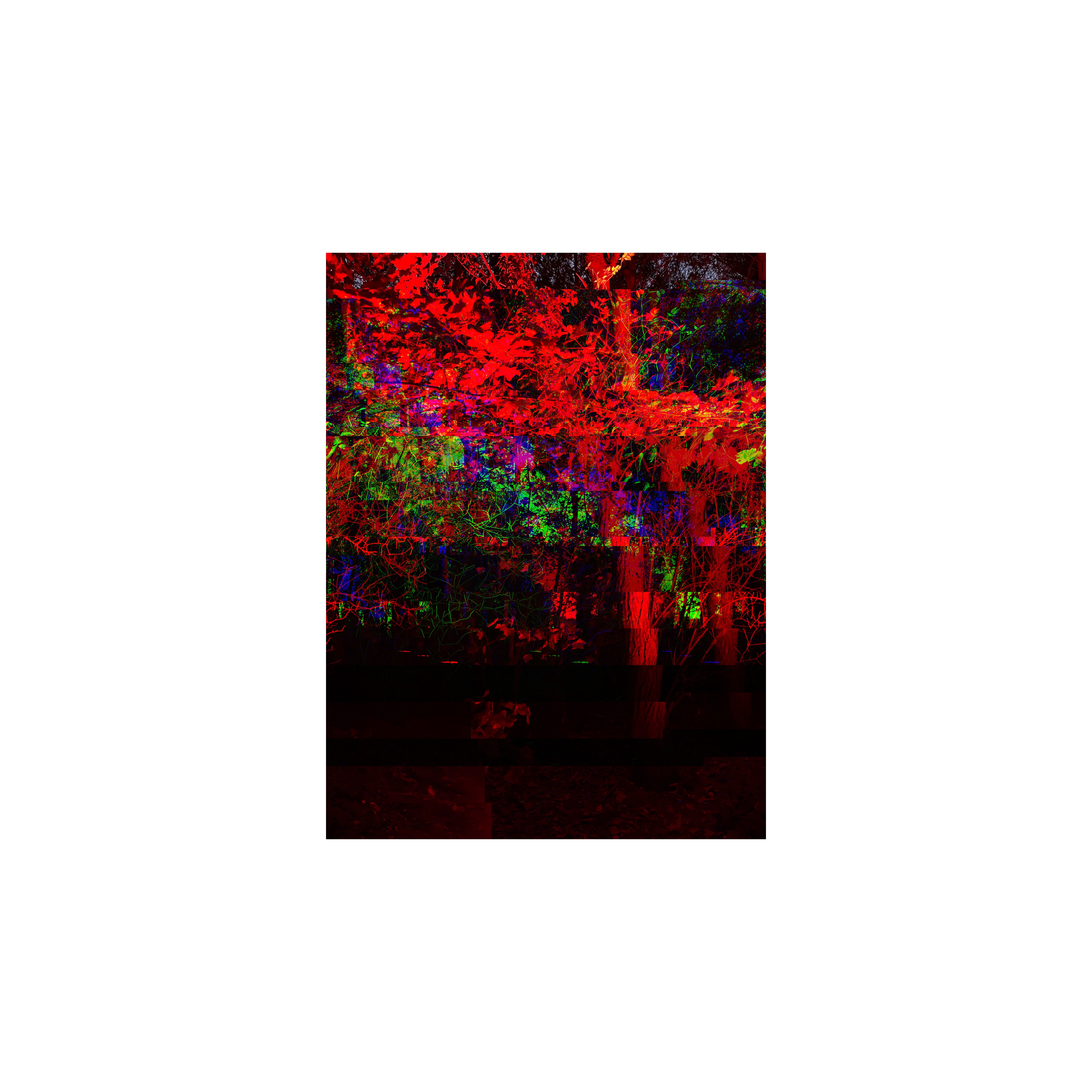 GlitchyInstaBoy Visual Art #051
